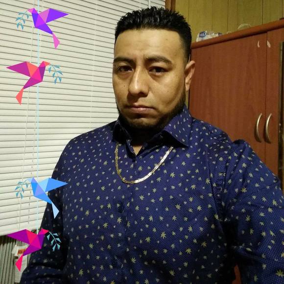 Meet your Posher, Cesar - Picture 1 of 1